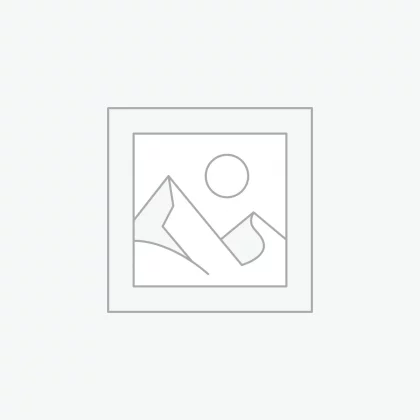 Gathered Detail Florence Half Sleeve V-Neck Dress